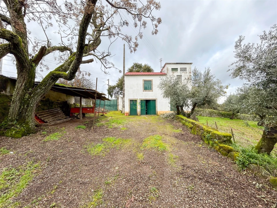 Quinta T3 para Venda em Castelo Branco Foto 16