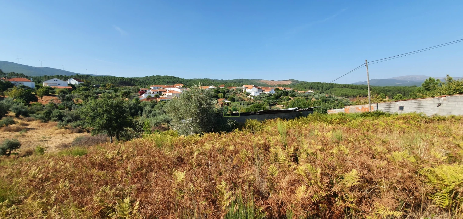 Terreno para Venda em São Vicente da Beira Foto 12