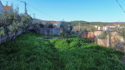 Terreno para Venda em São Vicente da Beira