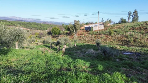 Terreno para Venda em São Vicente da Beira