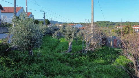 Terreno para Venda em São Vicente da Beira