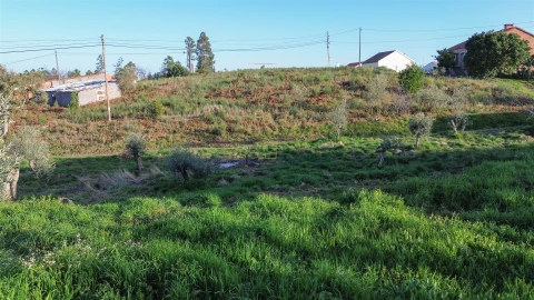 Terreno para Venda em São Vicente da Beira