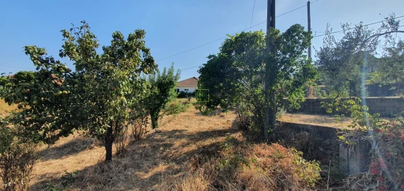 Terreno para Venda em São Vicente da Beira