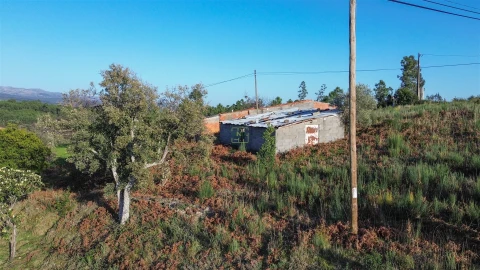 Terreno para Venda em São Vicente da Beira