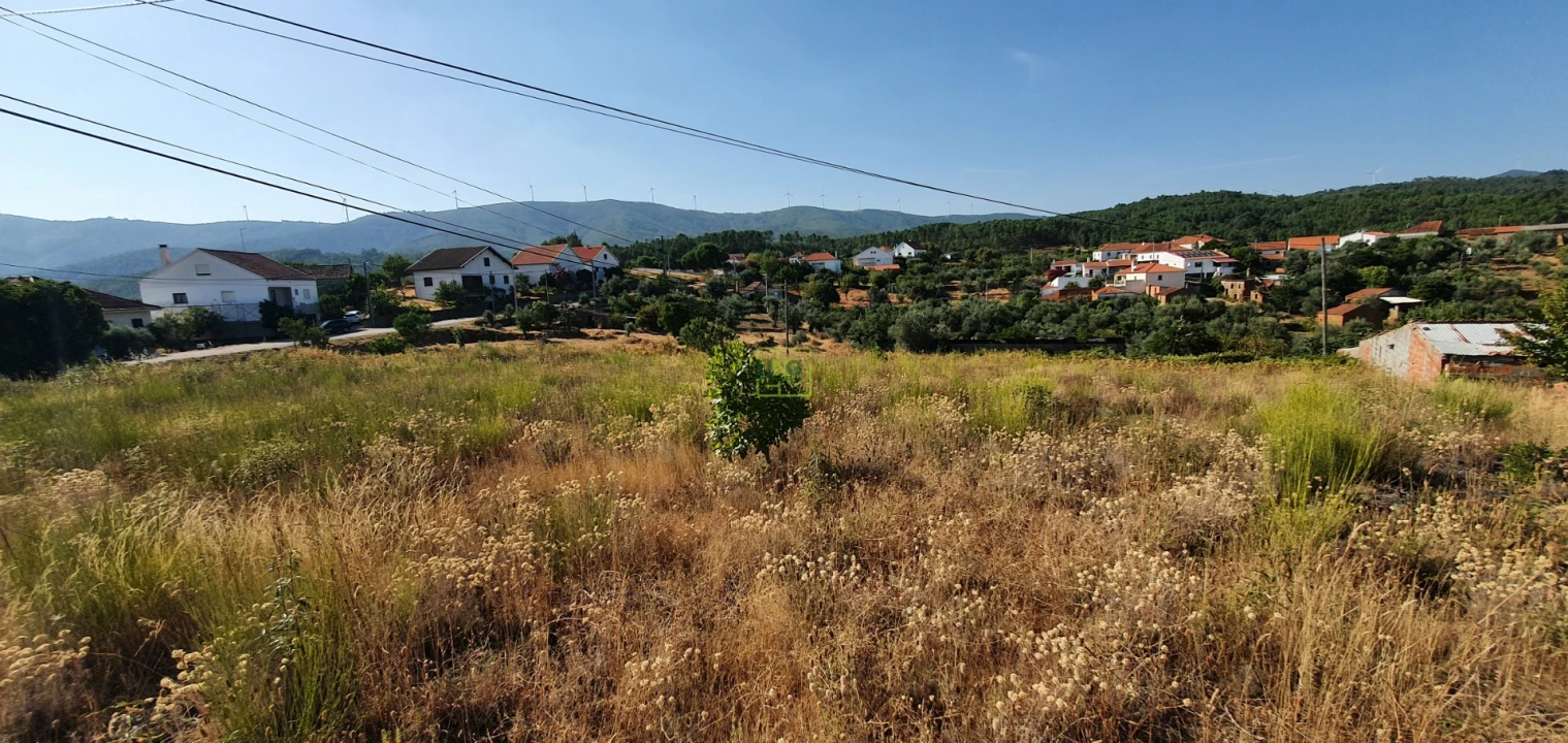 Terreno para Venda em São Vicente da Beira Foto 13