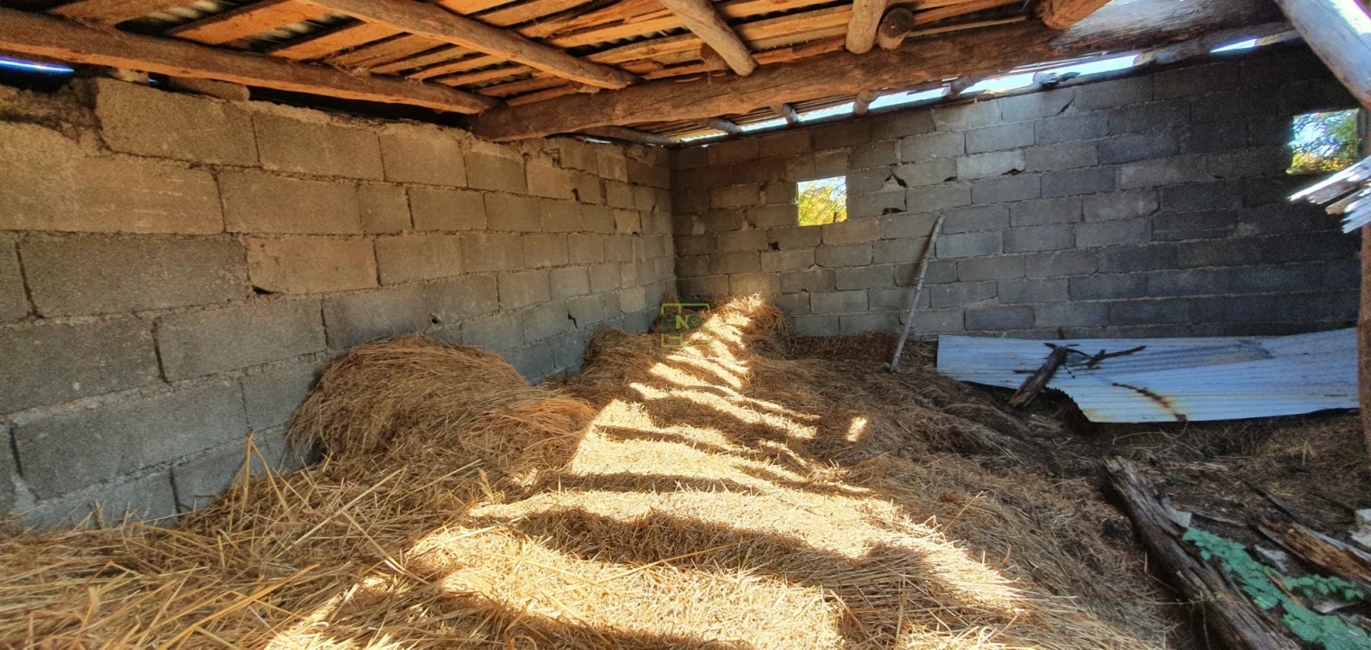 Terreno para Venda em São Vicente da Beira Foto 8