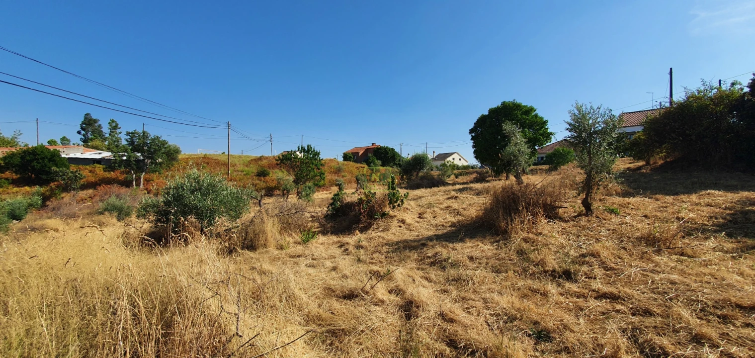 Terreno para Venda em São Vicente da Beira Foto 2