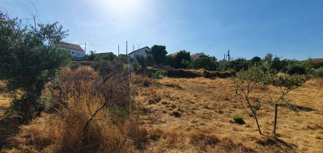 Terreno para Venda em São Vicente da Beira Foto 3