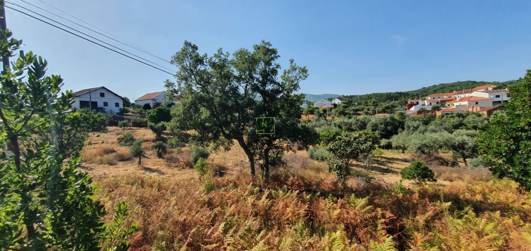 Terreno para Venda em São Vicente da Beira Foto 9