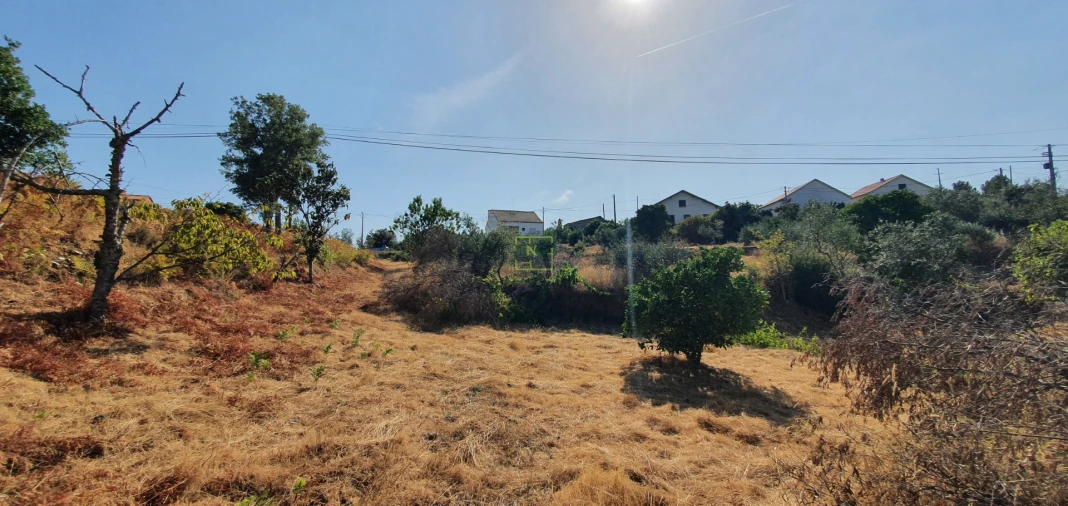Terreno para Venda em São Vicente da Beira Foto 4