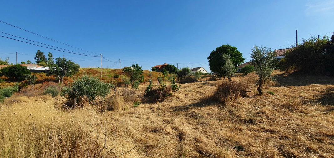 Terreno para Venda em São Vicente da Beira Foto 2