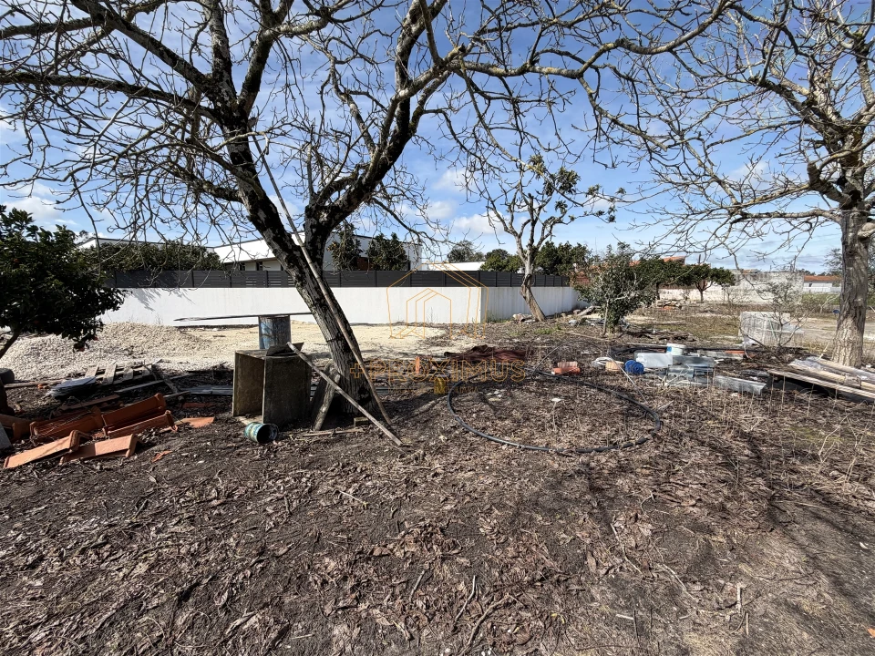 Moradia T3 para Venda em Sanguinheira Foto 56