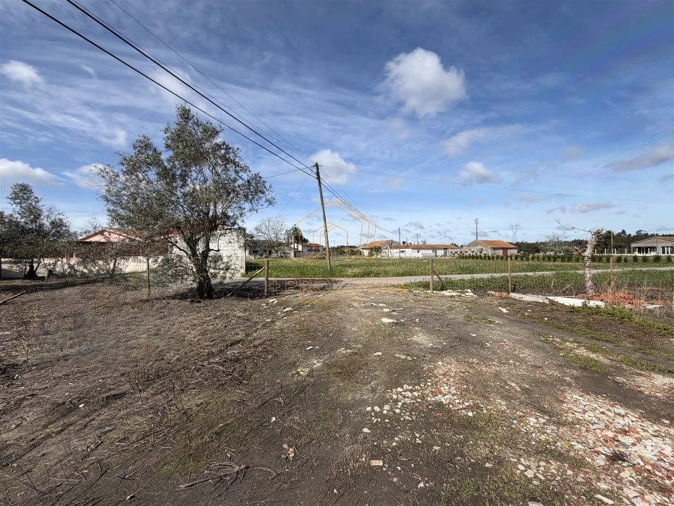 Moradia T3 para Venda em Sanguinheira Foto 53