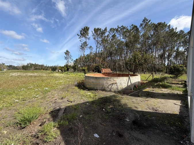 Moradia T3 para Venda em Sanguinheira Foto 52