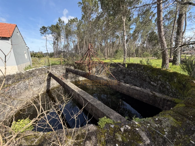 Moradia T3 para Venda em Sanguinheira Foto 55