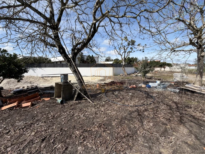 Moradia T3 para Venda em Sanguinheira Foto 56