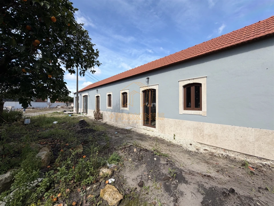 Moradia T3 para Venda em Sanguinheira Foto 45