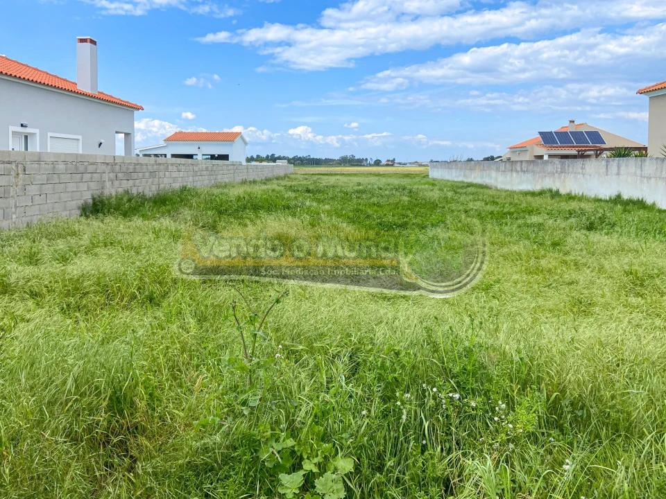 Terreno para Venda em Salvaterra de Magos e Foros de Salvaterra Foto 1