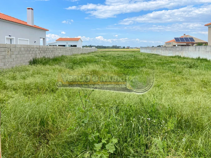 Terreno para Venda em Salvaterra de Magos e Foros de Salvaterra Foto 8