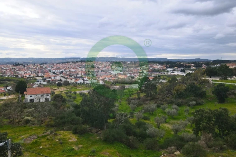 Moradia T4 para Venda em Valpaços e Sanfins Foto 9