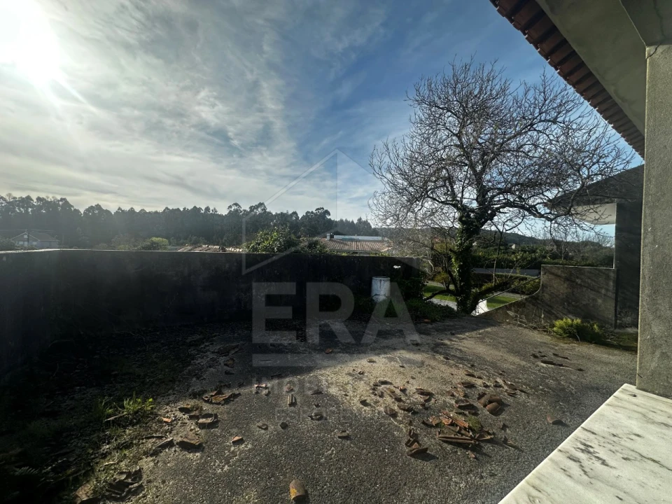 Terreno para Venda em São Romão de Neiva Foto 18