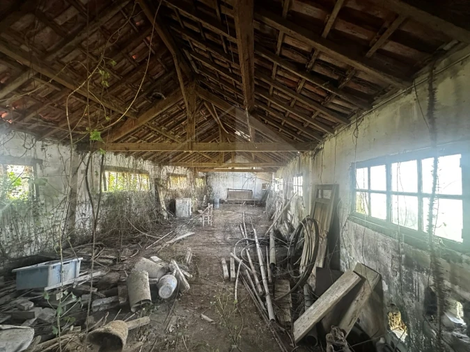 Terreno para Venda em São Romão de Neiva Foto 5