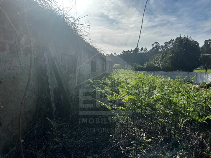Terreno para Venda em São Romão de Neiva Foto 6