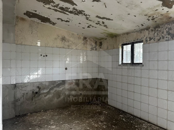 Terreno para Venda em São Romão de Neiva Foto 8