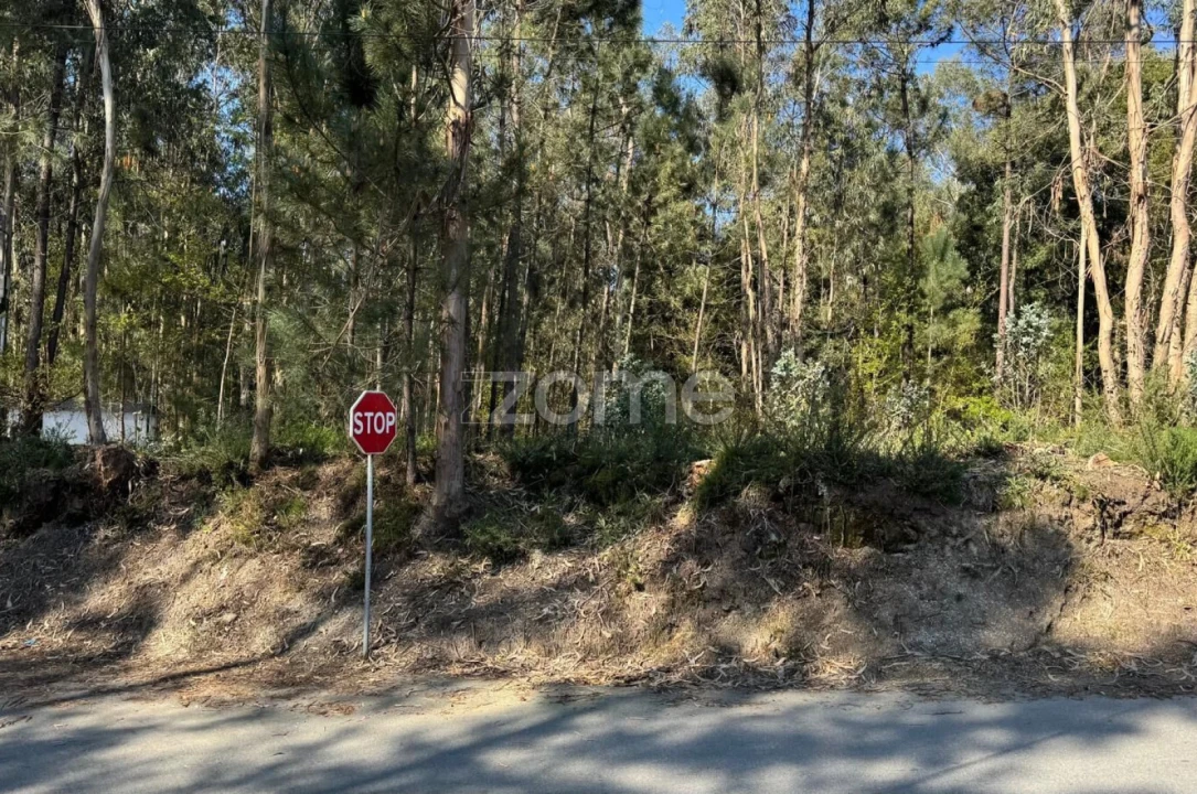 Terreno para Venda em Lemenhe, Mouquim e Jesufrei Foto 3