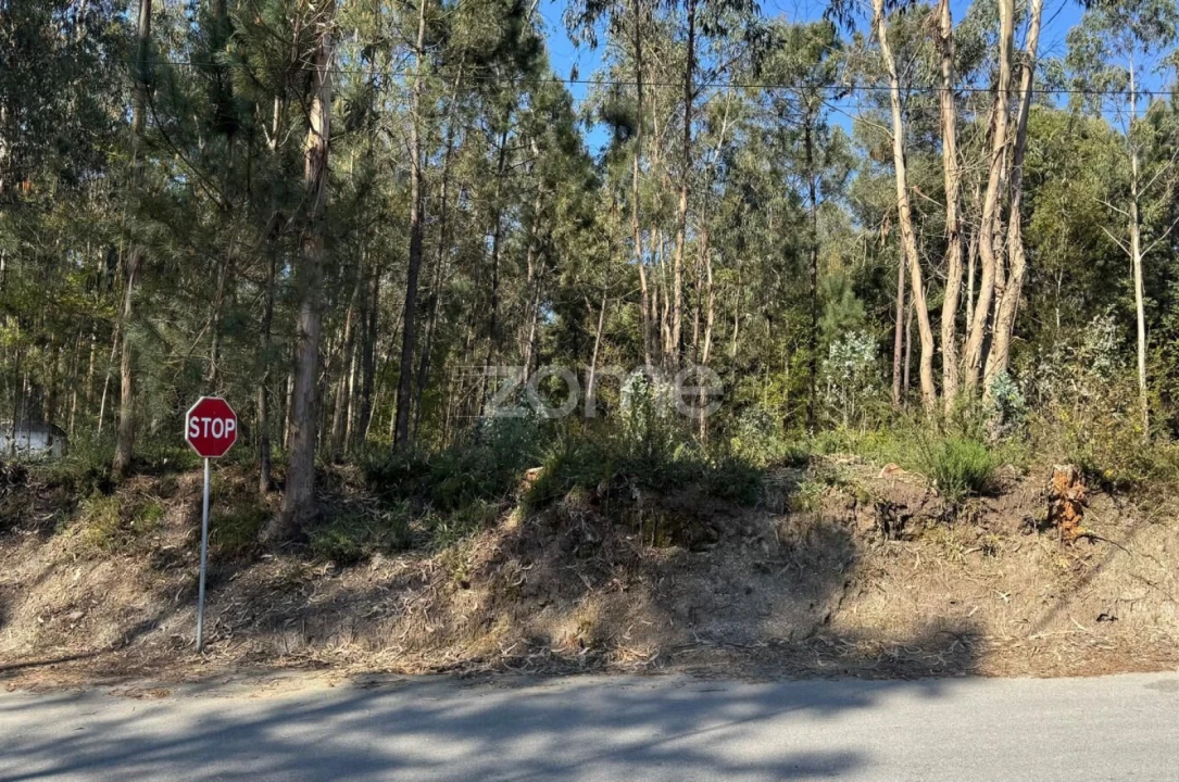 Terreno para Venda em Lemenhe, Mouquim e Jesufrei Foto 2