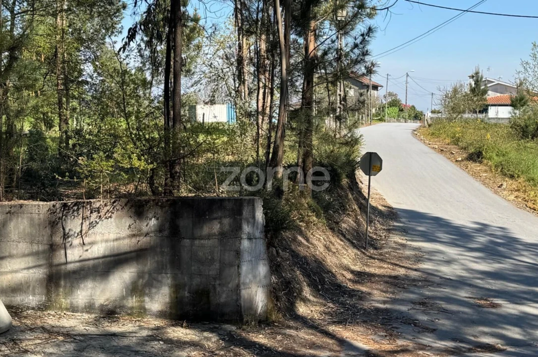 Terreno para Venda em Lemenhe, Mouquim e Jesufrei Foto 6