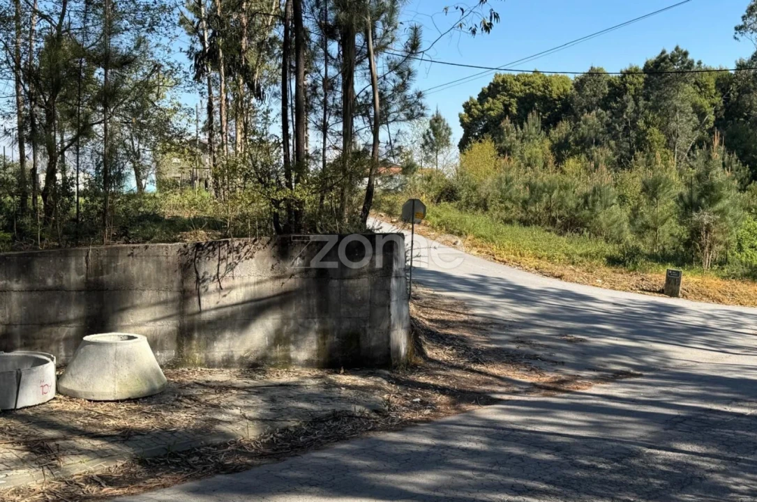 Terreno para Venda em Lemenhe, Mouquim e Jesufrei Foto 7