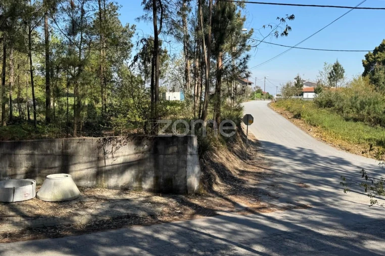 Terreno para Venda em Lemenhe, Mouquim e Jesufrei Foto 5
