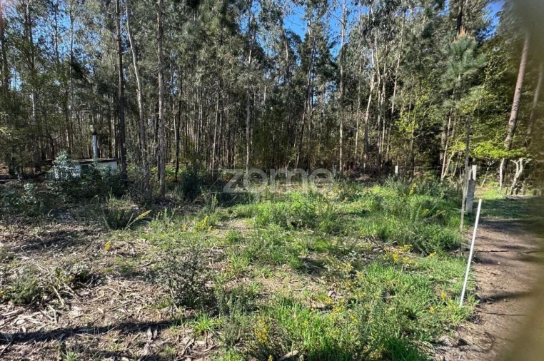 Terreno para Venda em Lemenhe, Mouquim e Jesufrei Foto 11