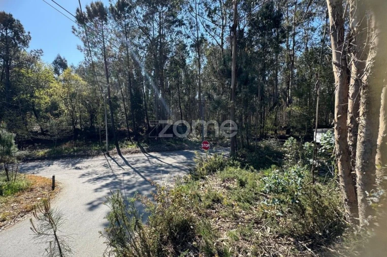 Terreno para Venda em Lemenhe, Mouquim e Jesufrei Foto 12