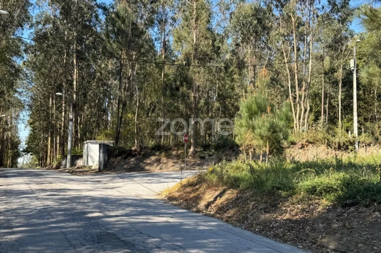 Terreno para Venda em Lemenhe, Mouquim e Jesufrei Foto 14