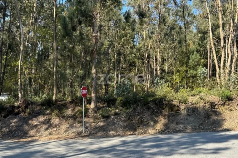 Terreno para Venda em Lemenhe, Mouquim e Jesufrei Foto 15