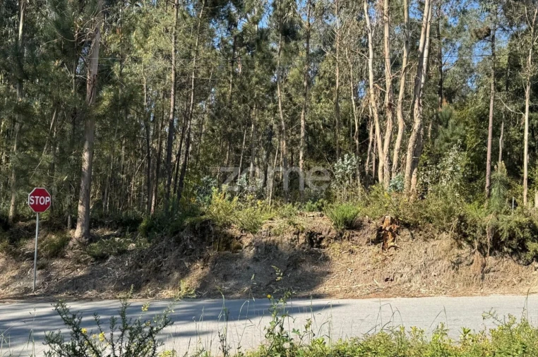 Terreno para Venda em Lemenhe, Mouquim e Jesufrei Foto 16