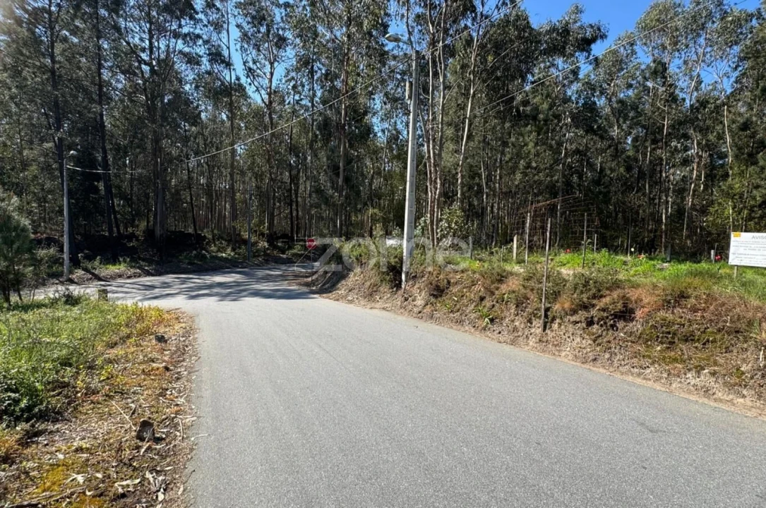 Terreno para Venda em Lemenhe, Mouquim e Jesufrei Foto 13