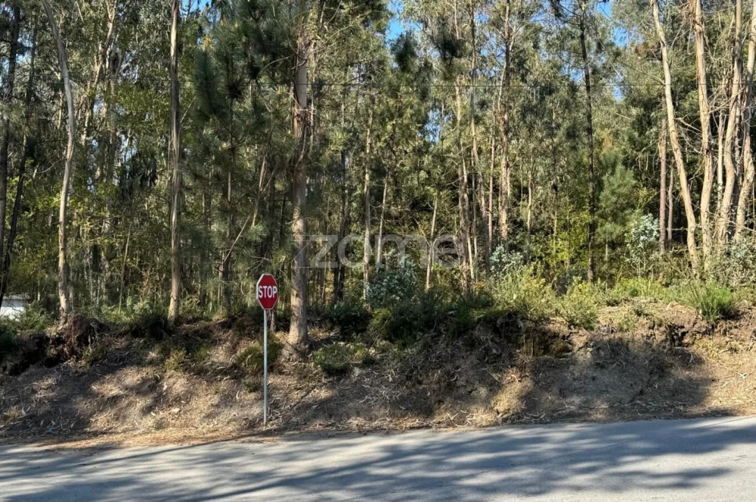 Terreno para Venda em Lemenhe, Mouquim e Jesufrei Foto 15