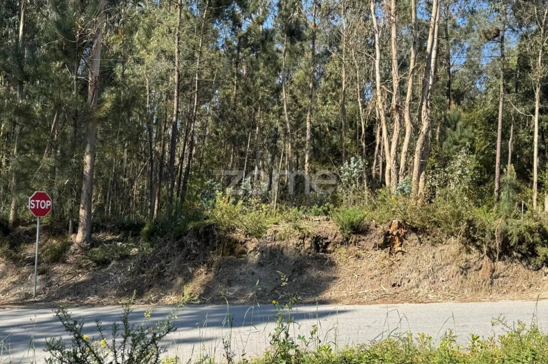 Terreno para Venda em Lemenhe, Mouquim e Jesufrei Foto 16