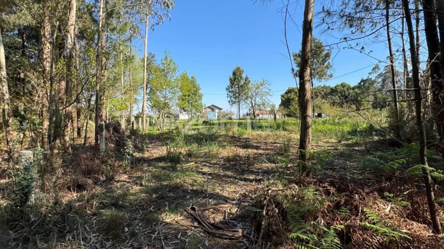 Terreno para Venda em Lemenhe, Mouquim e Jesufrei