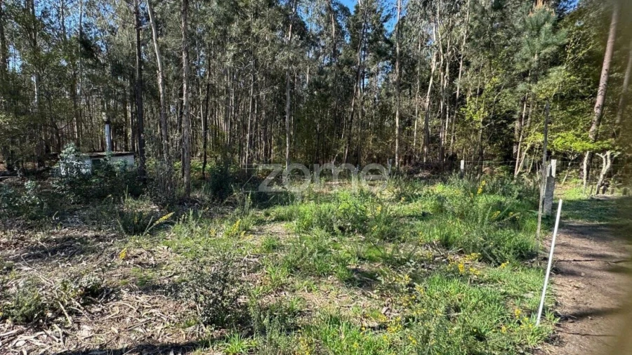 Terreno para Venda em Lemenhe, Mouquim e Jesufrei