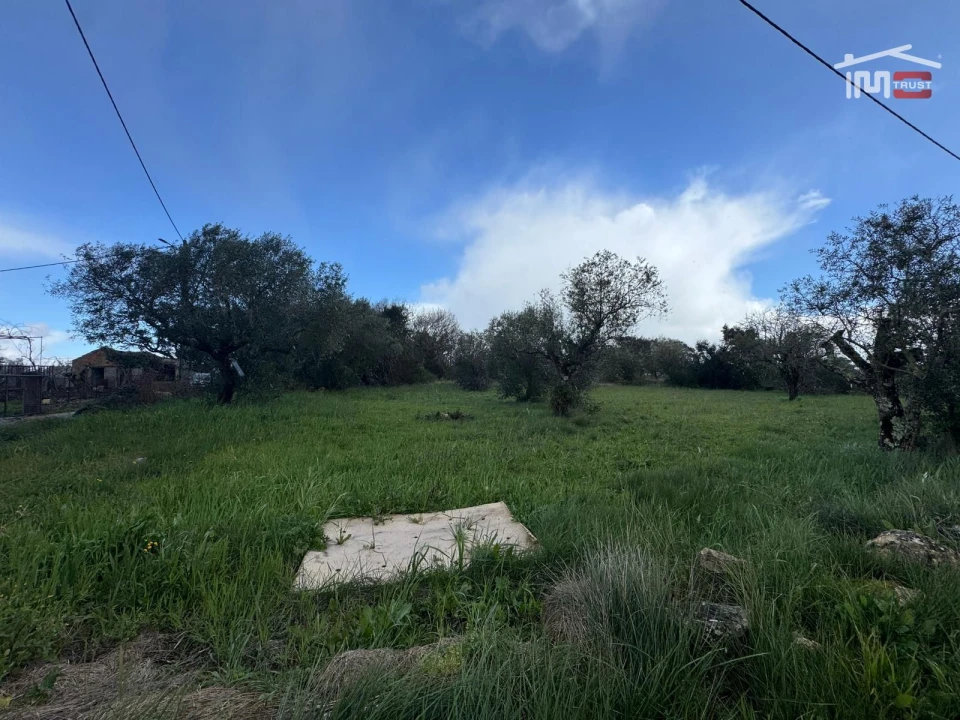 Terreno para Venda em Nossa Senhora das Misericordias Foto 4