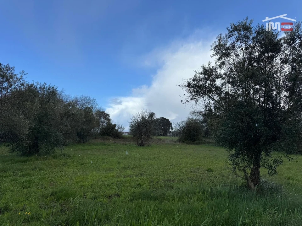 Terreno para Venda em Nossa Senhora das Misericordias Foto 7