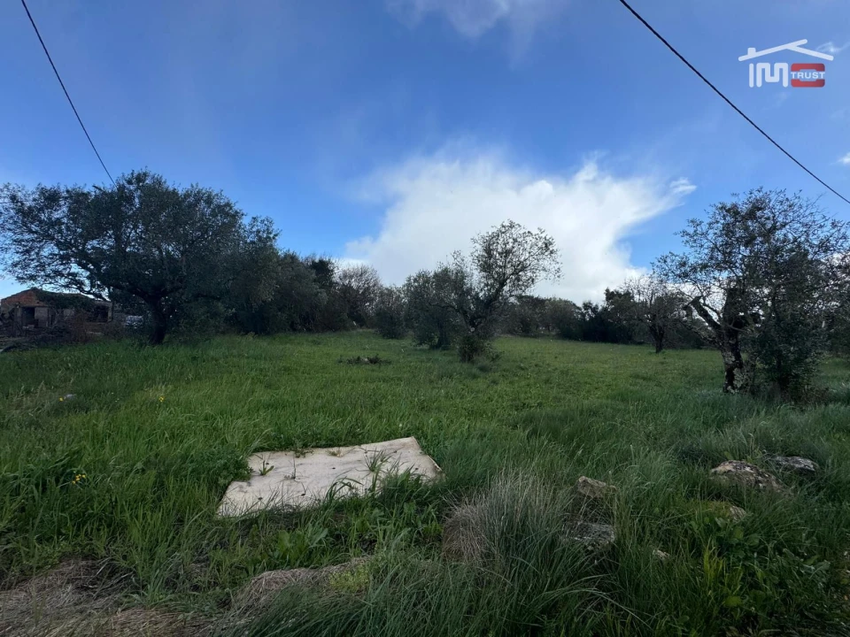 Terreno para Venda em Nossa Senhora das Misericordias Foto 10