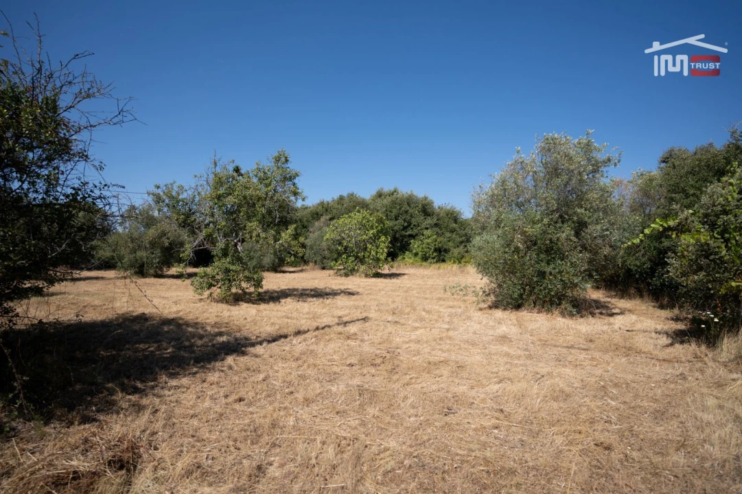 Terreno para Venda em Nossa Senhora das Misericordias Foto 5