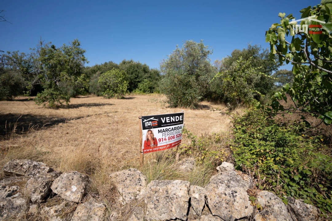 Terreno para Venda em Nossa Senhora das Misericordias Foto 8