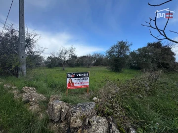 Terreno para Venda em Nossa Senhora das Misericordias