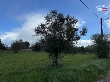 Terreno para Venda em Nossa Senhora das Misericordias